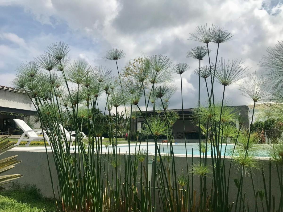 Torcaza Casa De Campo Quimbaya Buitenkant foto